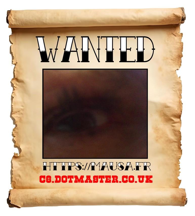 APB! Crime Reference: 69135958A57E4. A Metha addict is wanted in relation to a crime