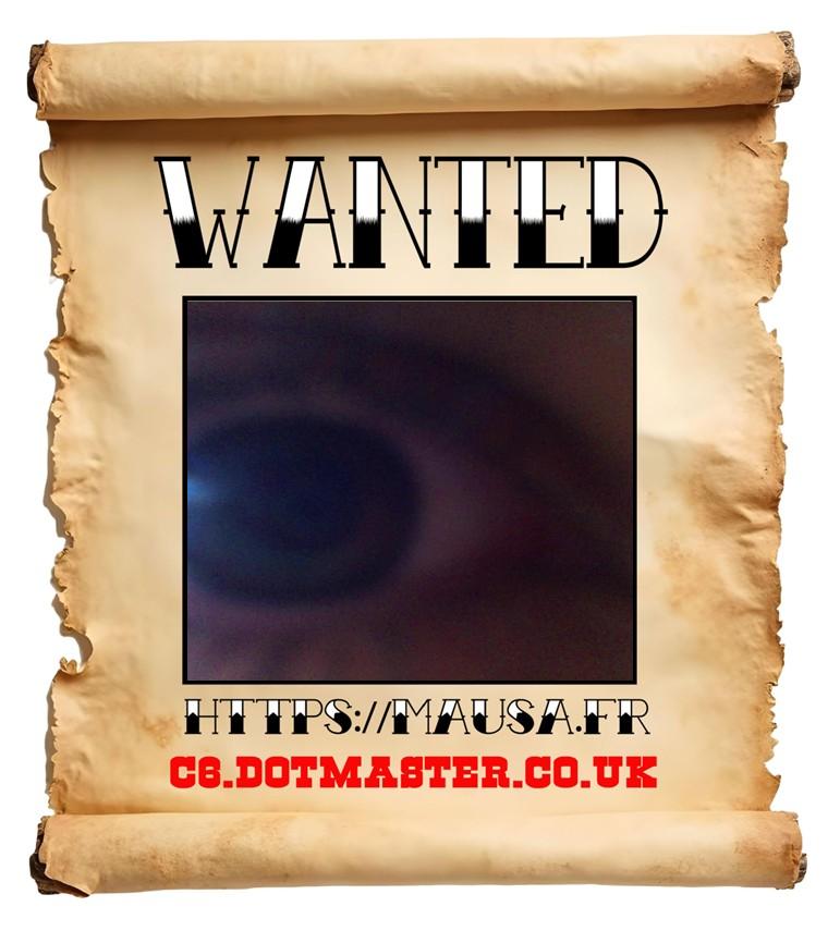APB! Crime Reference: 69382A02D1542. A Metha addict is wanted in relation to a crime