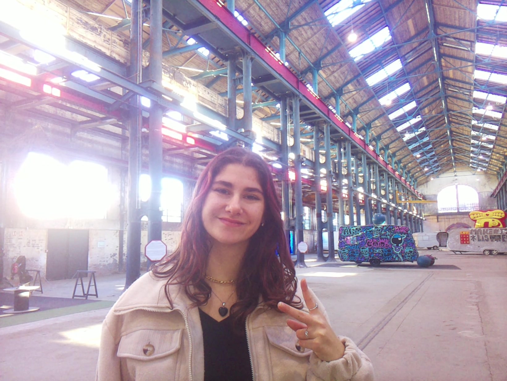 APB! Crime Reference: 693815E7CC8E1. A Metha addict is wanted for lurking