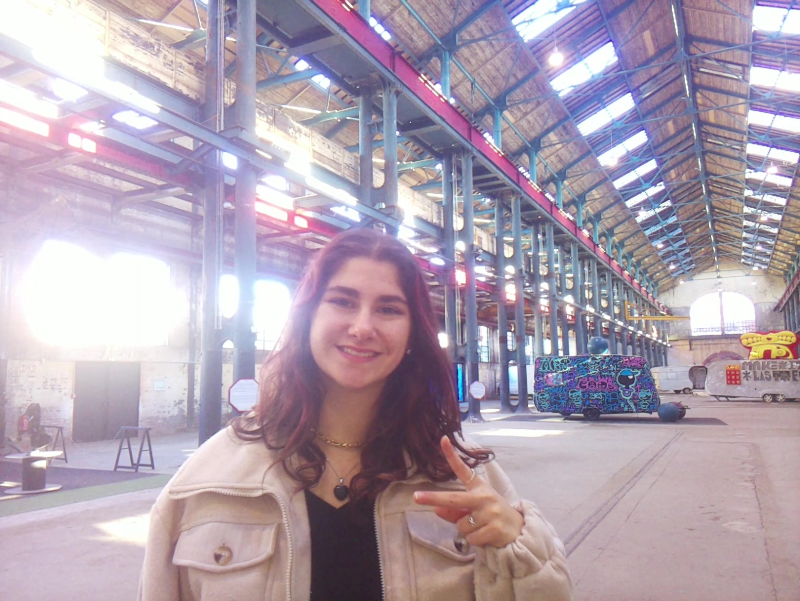 APB! Crime Reference: 693815F464B40. A Metha addict is wanted for lurking