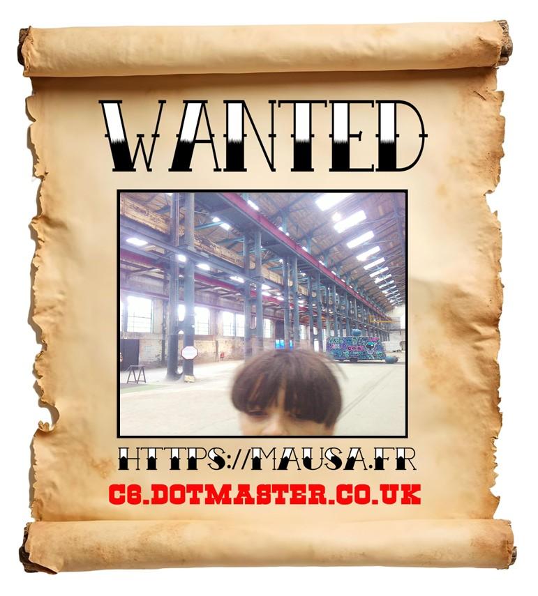 APB! Crime Reference: 6932E0757BEB7. A Metha addict is wanted in relation to a crime