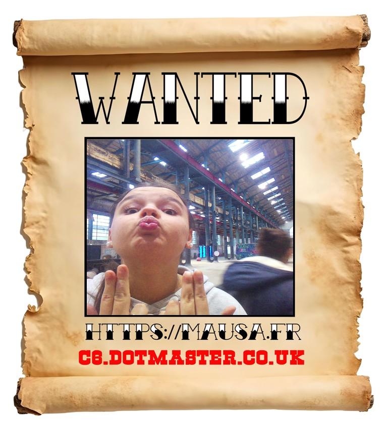 APB! Crime Reference: 6939877E838E3. A Metha addict is wanted in relation to a crime