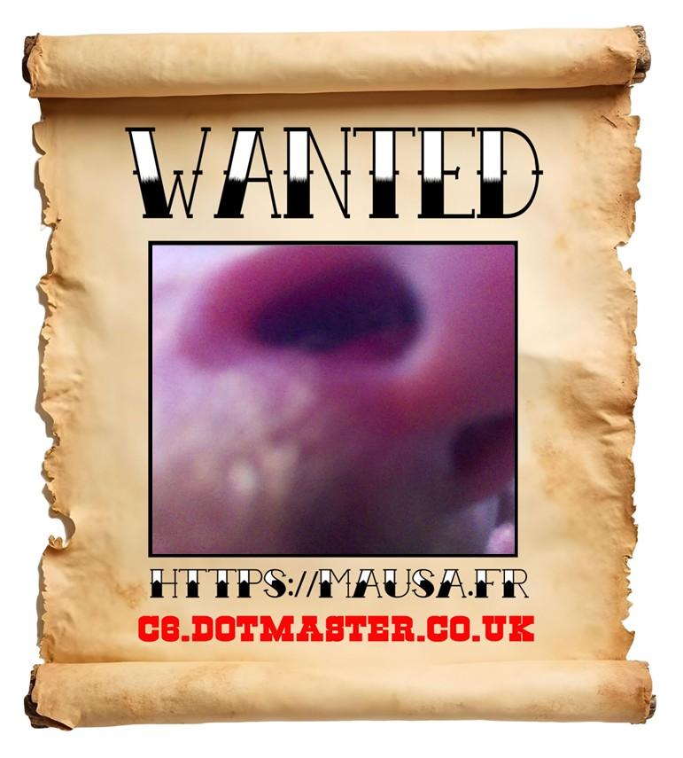 APB! Crime Reference: 69383DF1B7AB7. A Metha addict is wanted in relation to a crime